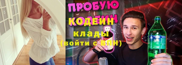 спиды Богданович