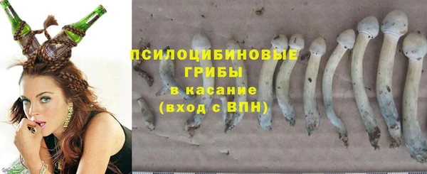 спиды Богданович