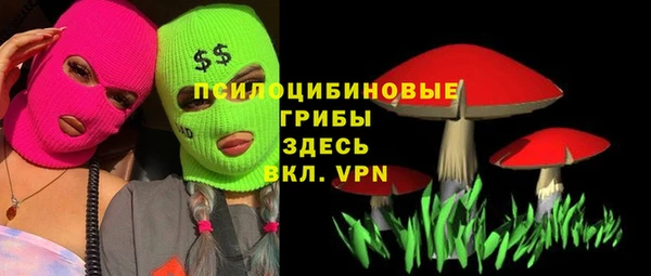 бошки Богородицк