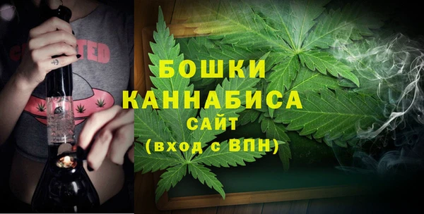бошки Богородицк