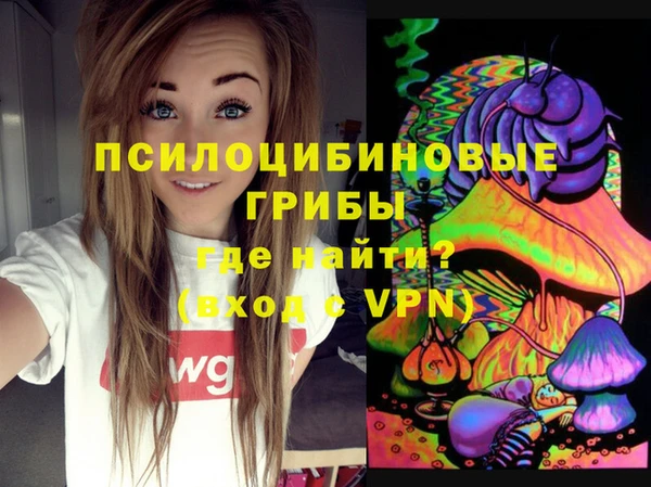спиды Богданович